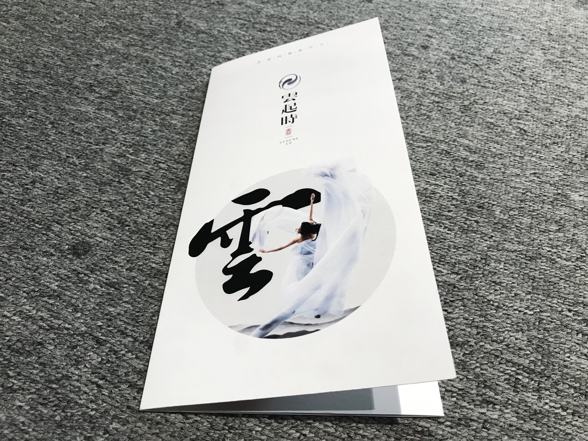 盛世纪元-提供发布会-论坛学术会议-政府会务-会议云直播-年会庆典策划-展厅规划设计服务