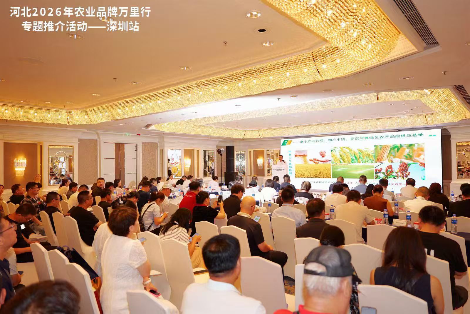 深圳策划公司,医学会议,学术会议,深圳会务公司,深圳活动公司,发布会策划,政府会务,会议直播